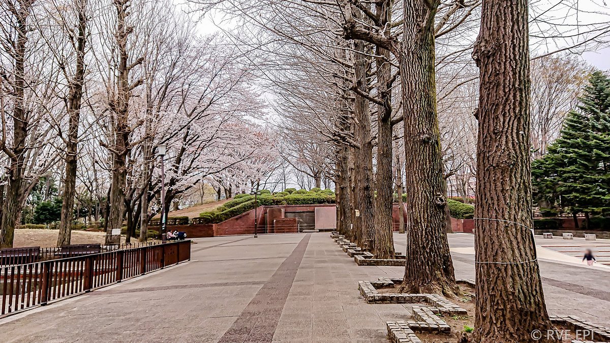 🏞️ 고다이라 시립 중앙공원 (코다이라 시리츠 추오 코엔) 이미지 5